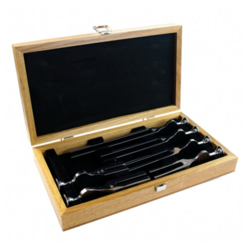 Tuning Fork Set of 6