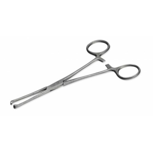 Allis Tissue Forceps 15cm (6")