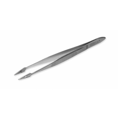 Hunter Splinter Forceps 10.5cm (4")