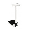 seca 704 Digital Column Scale